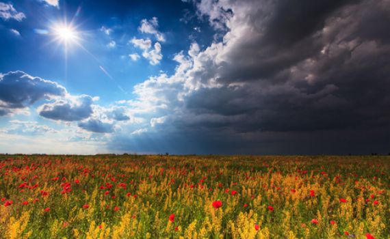 שבוע משוגע: עלייה בטמפ', רעמים וגשם: תחזית מזג אוויר