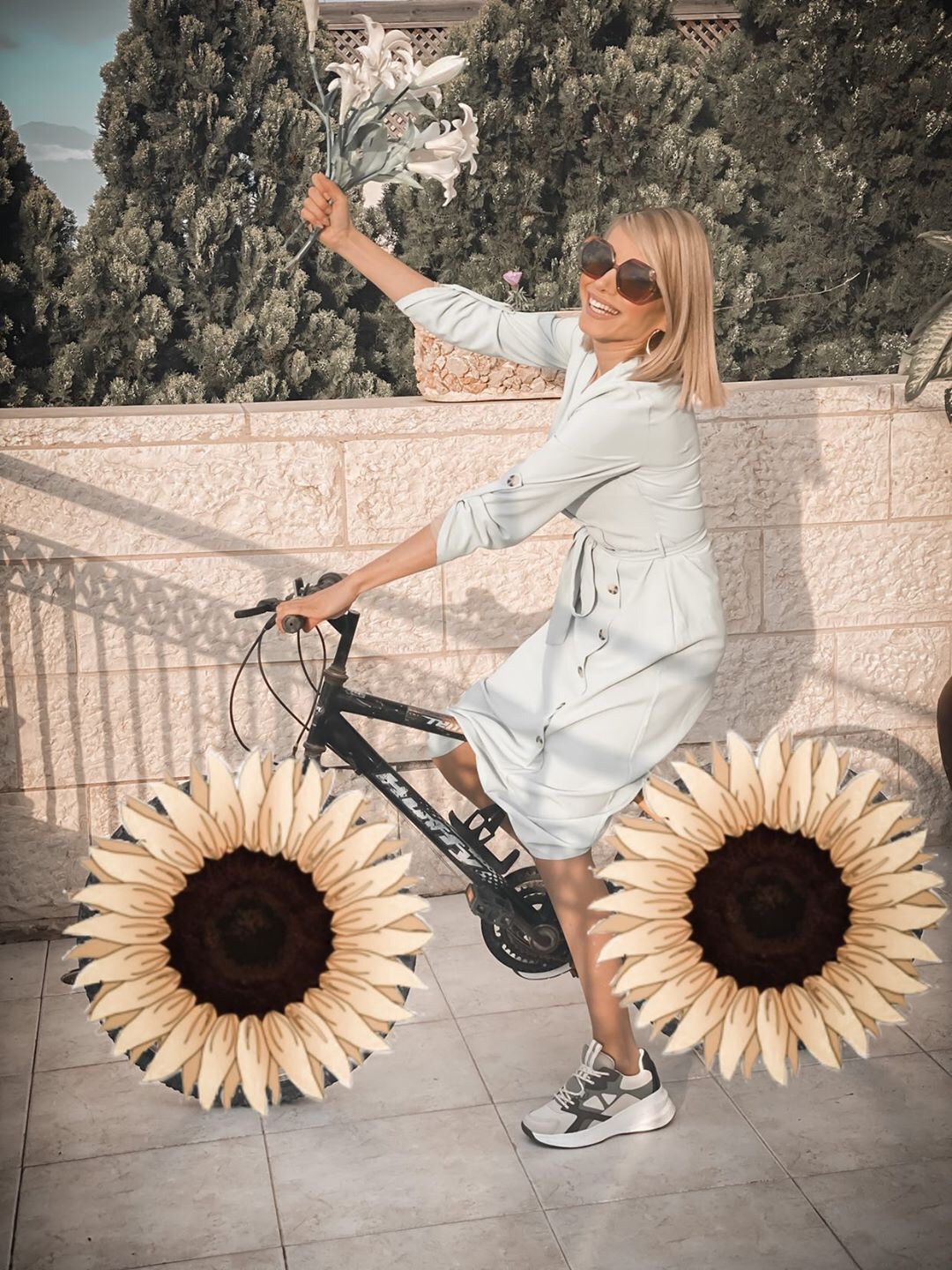 חמניות רודפות אחריך: מי עשתה את זה יותר טוב