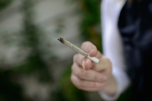 משרד הבריאות חושף: רפורמה בקנאביס הרפואי