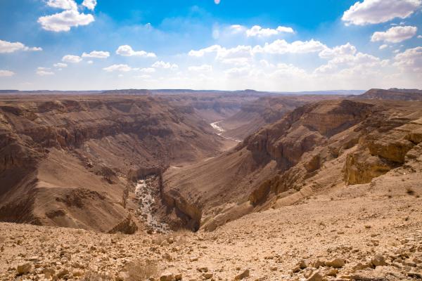 כלב ויהושע היו מיעוט שעמד על האמת שלו