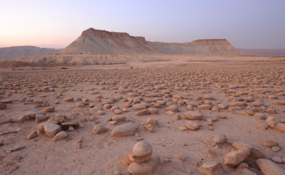 "אירועים חמורים": נעצרו הטיולים במכינות הקד"צ