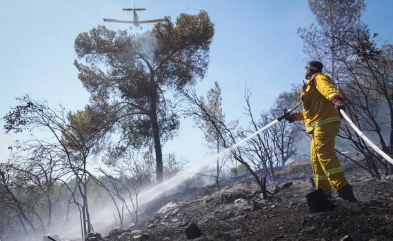 שריפת קוצים באלפי מנשה: האש מסכנת את בתי הישוב