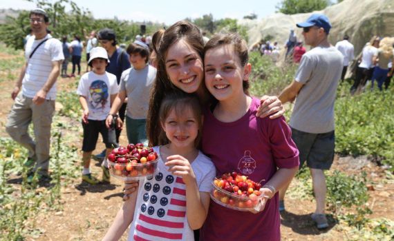 פסטיבל הדובדבנים: במתכונת מעט שונה