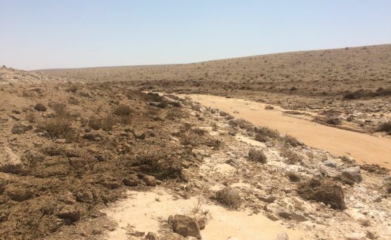 בהנחיית גילה גמליאל: נחל אשלים נפתח אחרי 3 שנים