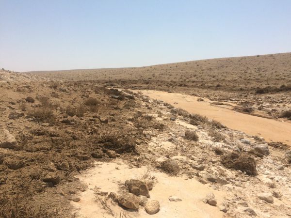 בהנחיית גילה גמליאל: נחל אשלים נפתח אחרי 3 שנים