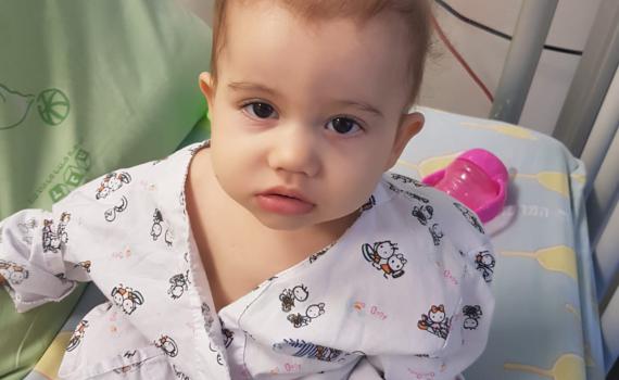 הישרדות עוברת בתורשה | המאבק של אביגיל