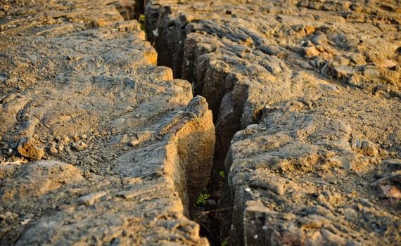 צפו: קצר על הפרשה | משה רבנו מונע מאינטרסים?