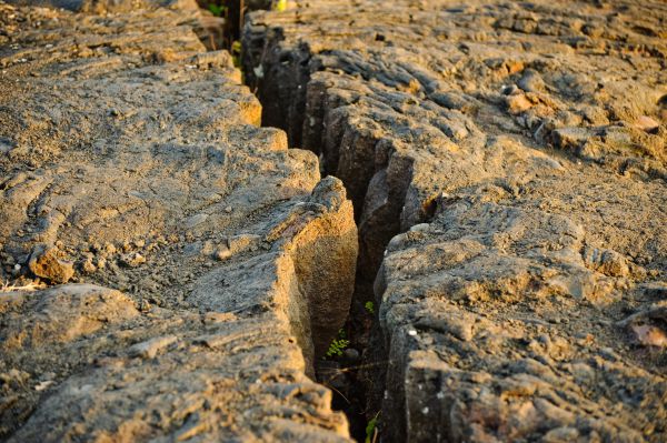 צפו: קצר על הפרשה | משה רבנו מונע מאינטרסים?