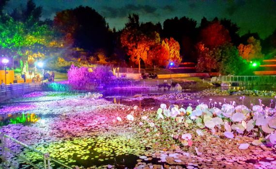 ארץ האגדות בירושלים: חוויה מיוחדת בגן הבוטני