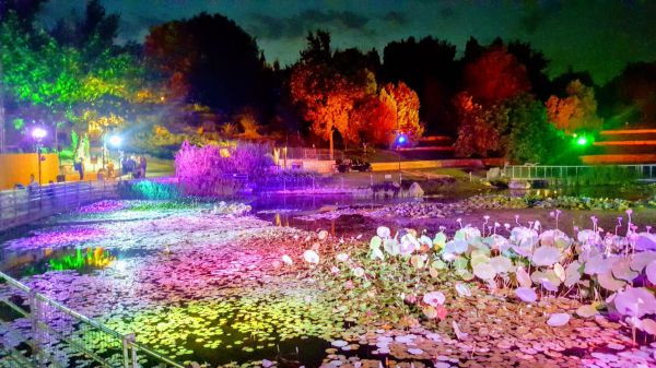 ארץ האגדות בירושלים: חוויה מיוחדת בגן הבוטני