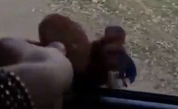 האב שילדיו הושפלו על ידי כוכב הילדים מגיב לסערה