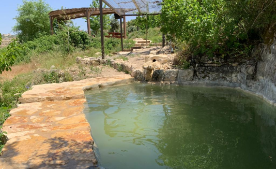 מחפשים מה לעשות בקיץ? בואו לטלמון!