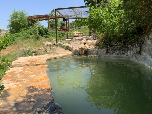 מחפשים מה לעשות בקיץ? בואו לטלמון!