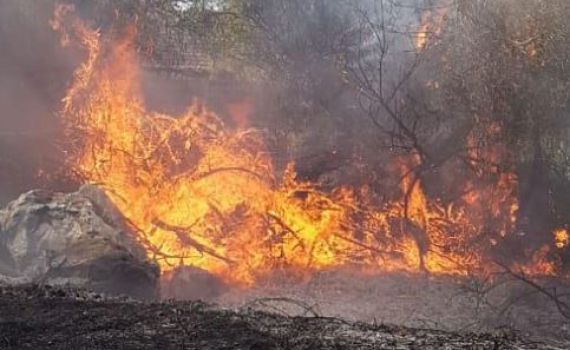 השריפה באורנית: האש מתקרבת למרכז מסחרי; החשמל נותק