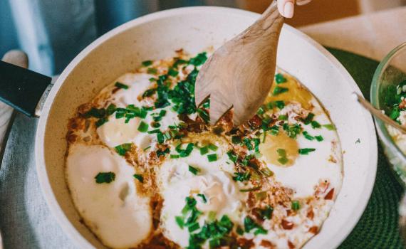 מסע בעקבות השקשוקה