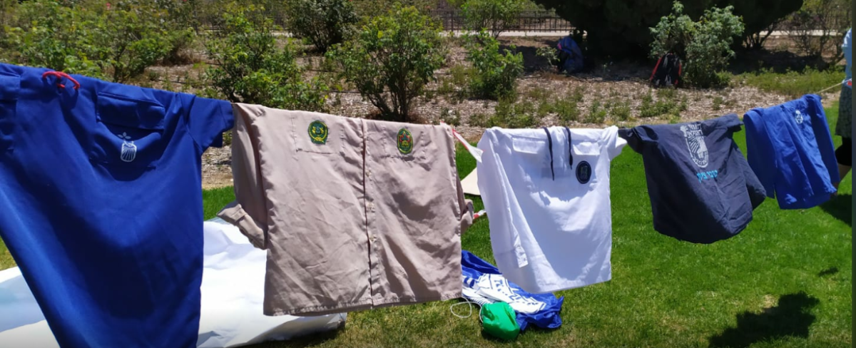 צפו: באיזו תנועת נוער חברים חברי הכנסת?