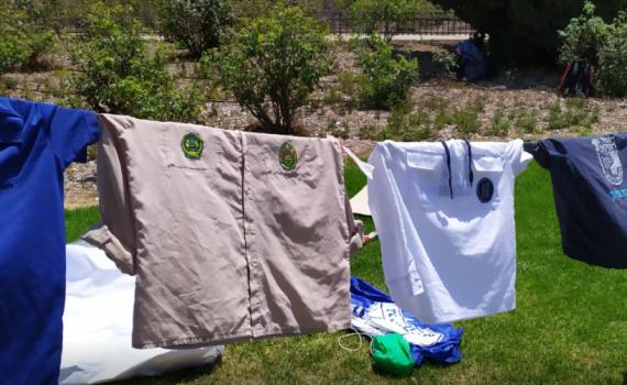 צפו: באיזו תנועת נוער חברים חברי הכנסת?