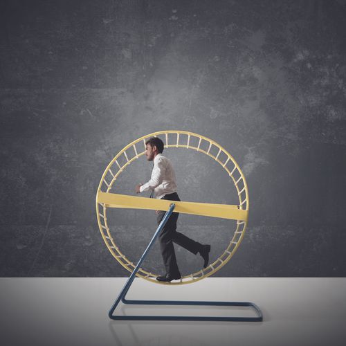 "וְנוֹשַׁנְתֶּם בָּאָרֶץ": עצה לחיים מאושרים יותר