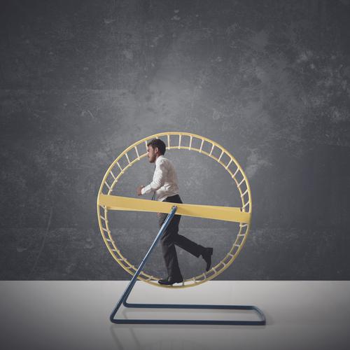 "וְנוֹשַׁנְתֶּם בָּאָרֶץ": עצה לחיים מאושרים יותר