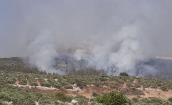 השריפה סמוך למבוא דותן: החל פינוי תושבים