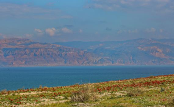 החום נשבר; הטמפרטורות צונחות: תחזית מזג אוויר