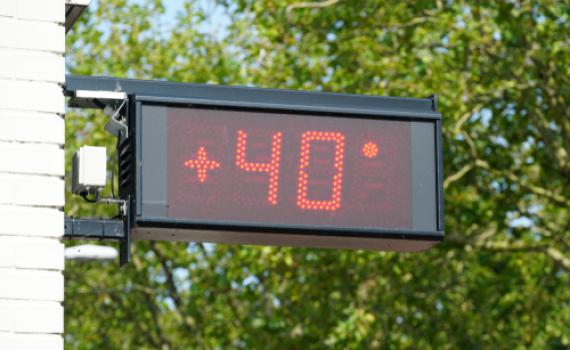 תחזית מזג אוויר | זינוק בטמפ';חום כבד ושרב קיצוני