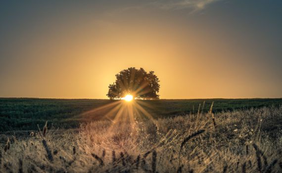 מחסור בוויטמין D מגביר סיכוי להידבק בקורונה