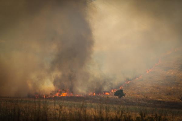 בחודש וחצי: עשרות שריפות ביו"ש הוגדרו כהצתות טרור