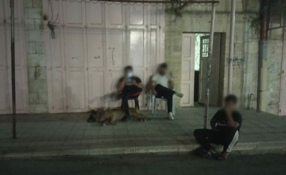 כלב תקיפה שוחרר לעבר תושבת חברון, אין עצורים