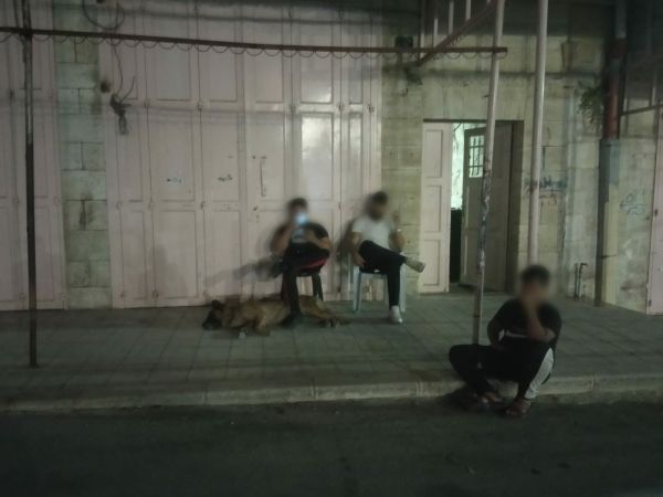 כלב תקיפה שוחרר לעבר תושבת חברון, אין עצורים