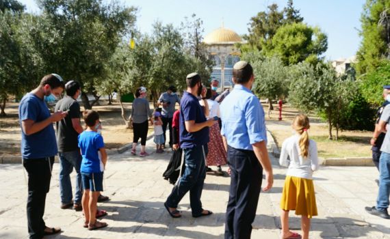 עתירה: לקבוע מתי יהודים יוכלו להתפלל בהר הבית