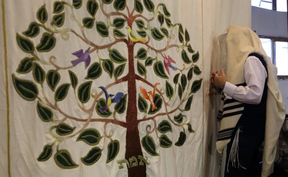 בג"ץ: מדוע עצמותיו של רבי נחמן לא מועלות לישראל?