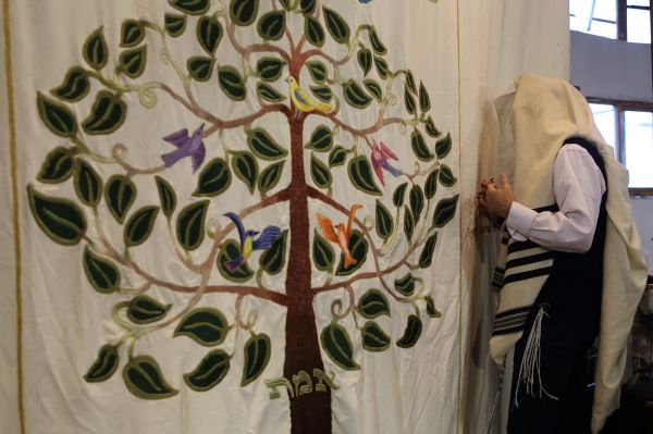 בג"ץ: מדוע עצמותיו של רבי נחמן לא מועלות לישראל?