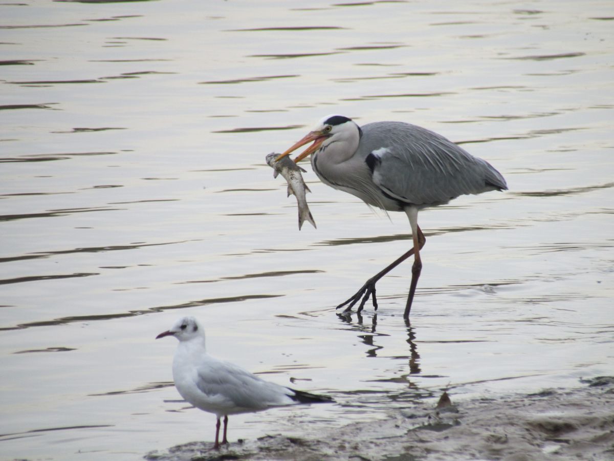 לא רק בצפון: מטיילים לאורך שבילי הירקון