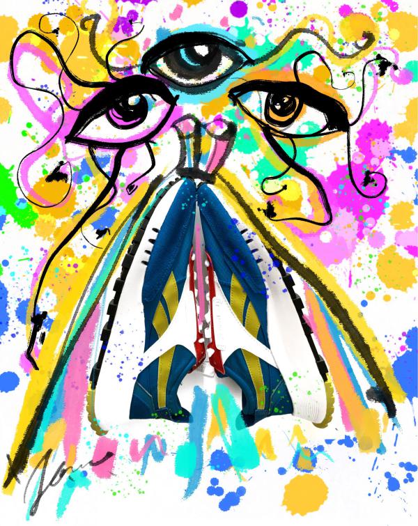 נעליים מיוחדות: שנים עשר יוצרים קיבלו אתגר אופנתי