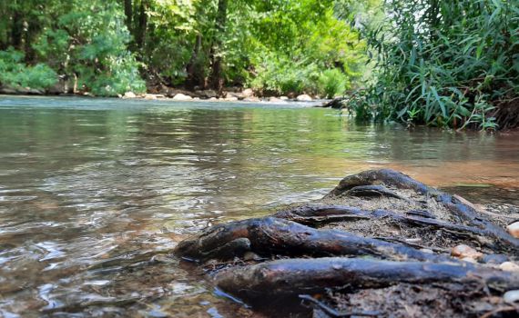 רגע לפני החגים: זיהום חריג ב-10 נחלים בצפון
