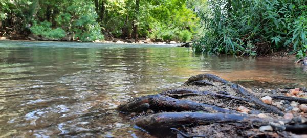 רגע לפני החגים: זיהום חריג ב-10 נחלים בצפון