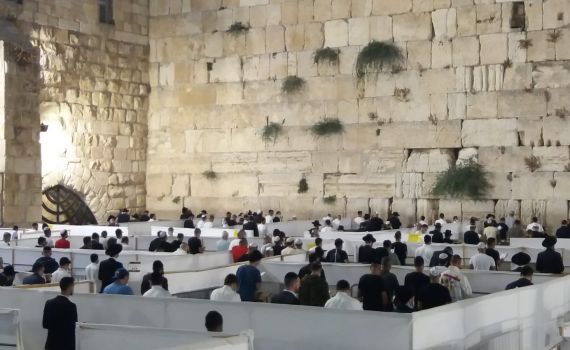 לפי כל ההנחיות: סליחות בקפסולות ברחבת הכותל