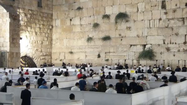 לפי כל ההנחיות: סליחות בקפסולות ברחבת הכותל