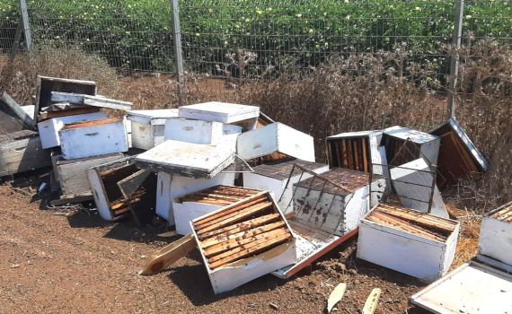 עשרות כוורות דבש נגנבו; נזק של עשרות אלפי שקלים