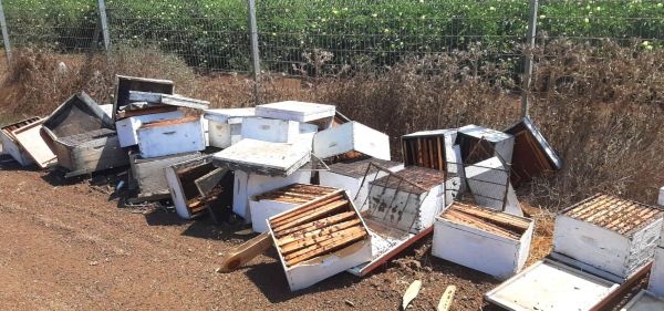 עשרות כוורות דבש נגנבו; נזק של עשרות אלפי שקלים