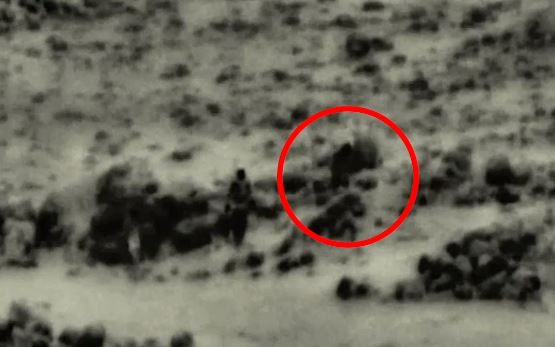 תיעוד: מטוס קרב מחסל 4 מחבלים שהניחו מטען