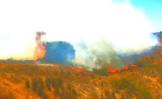שריפות ובלוני נפץ | צפו: עוטף עזה בוער