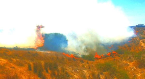 שריפות ובלוני נפץ | צפו: עוטף עזה בוער
