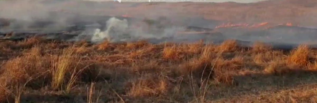 טרור הבלונים נמשך: 23 שריפות פרצו בעוטף עזה