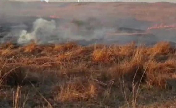 טרור הבלונים נמשך: 23 שריפות פרצו בעוטף עזה