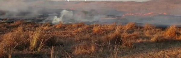 טרור הבלונים נמשך: 23 שריפות פרצו בעוטף עזה