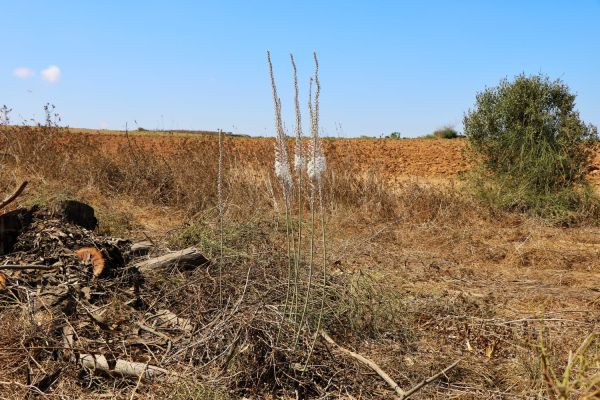 הסתיו כבר פה | צפו בתיעוד מעוטף עזה