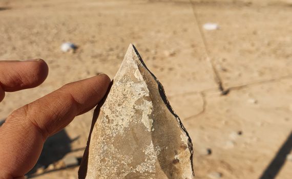 האדם שיצא מאפריקה לפני 100,000 שנה עבר בדימונה