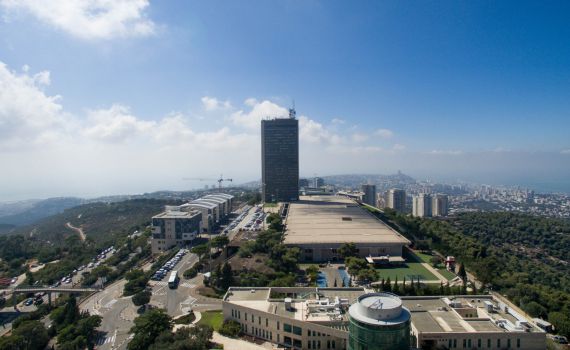 מולטי אפשרויות, מולטי תואר, מולטי מתאים לכם